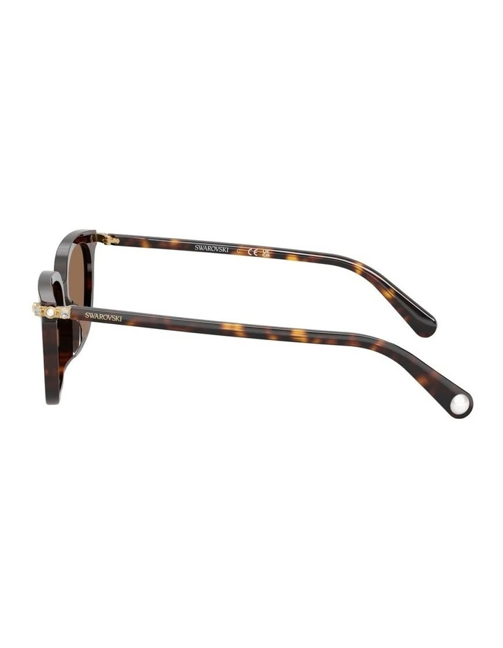 Acetate Sunglasses in Tortoise image 3