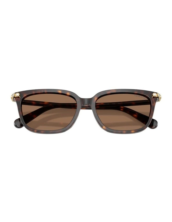 Acetate Sunglasses in Tortoise image 4