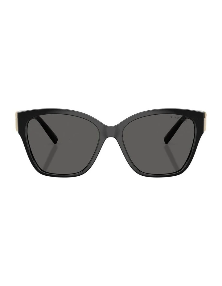 Injected Sunglasses in Black image 1