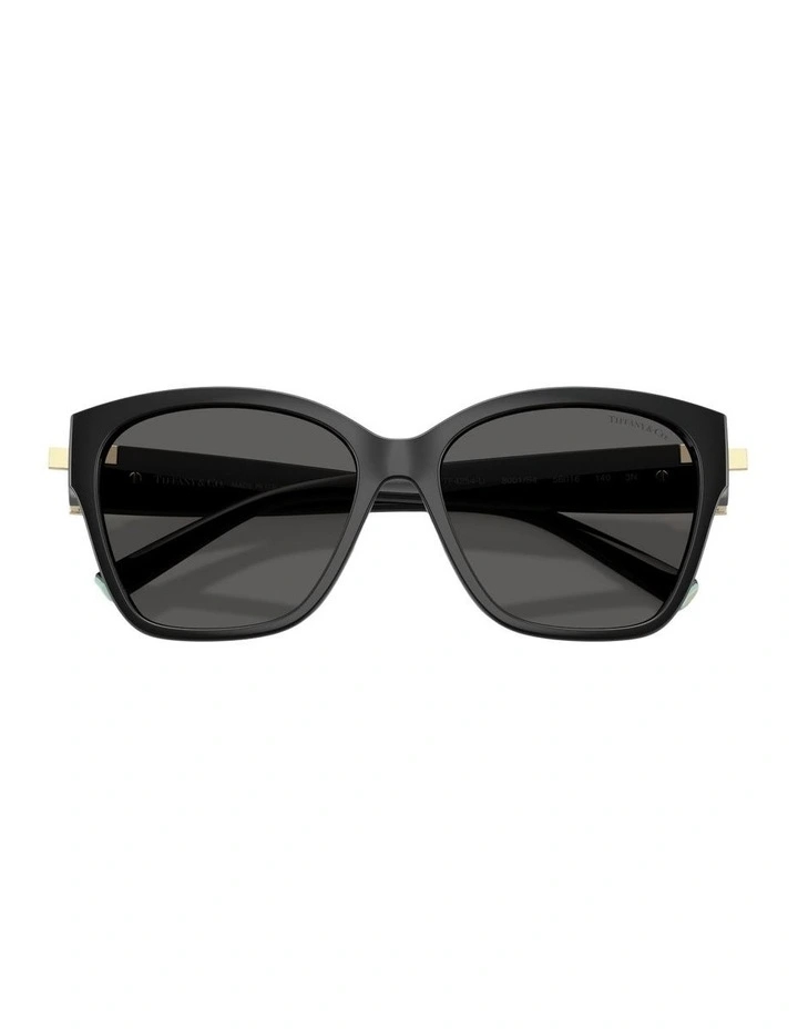 Injected Sunglasses in Black image 3