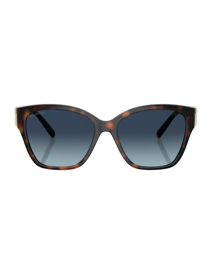 Injected Polarised Sunglasses in Tortoise image 1