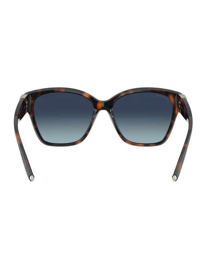 Injected Polarised Sunglasses in Tortoise image 2