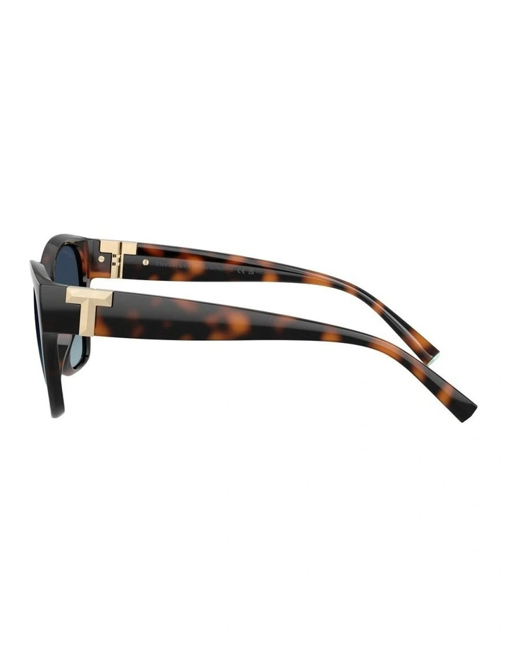 Injected Polarised Sunglasses in Tortoise image 3