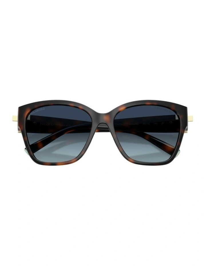 Injected Polarised Sunglasses in Tortoise image 4