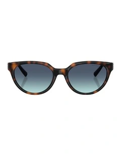 Injected Sunglasses in Tortoise