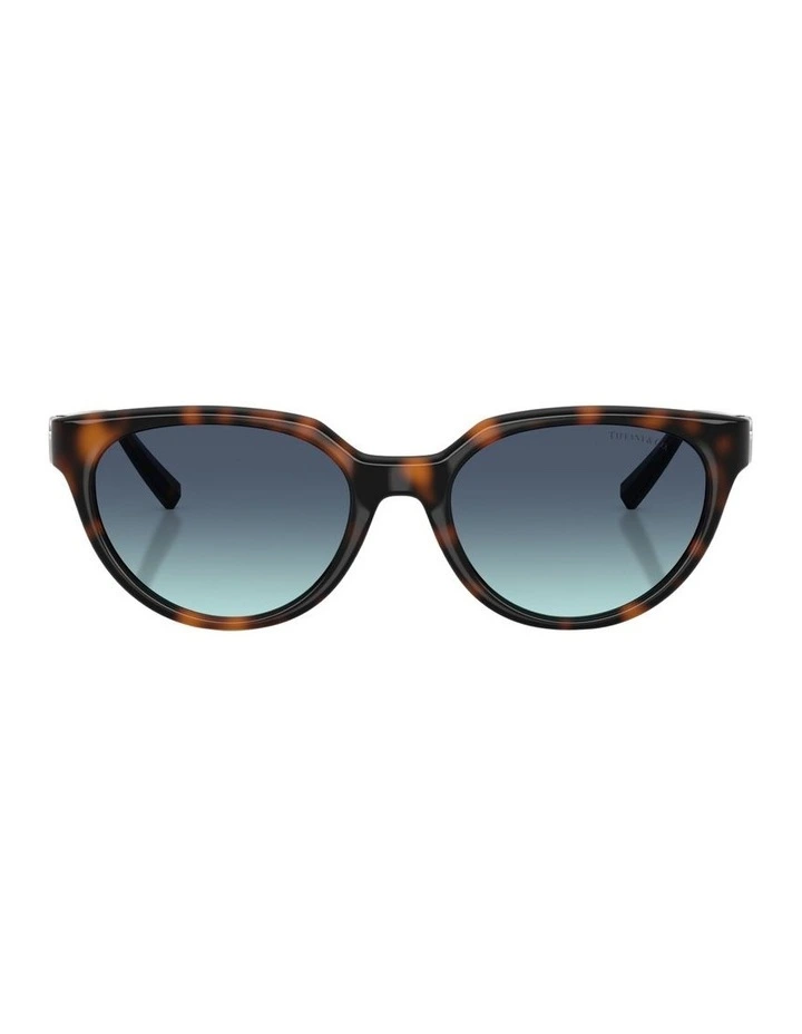 Injected Sunglasses in Tortoise image 1