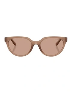 Injected Sunglasses in Brown
