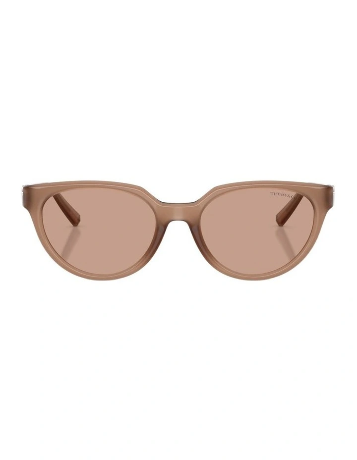 Injected Sunglasses in Brown image 1
