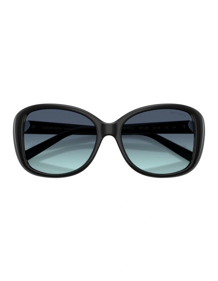 Injected Sunglasses in Black image 4