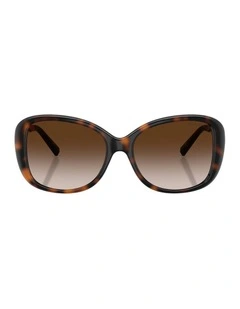 Injected Sunglasses in Tortoise