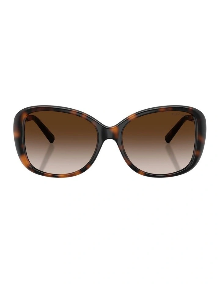 Injected Sunglasses in Tortoise image 1