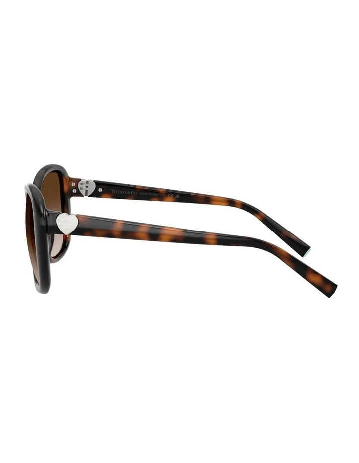 Injected Sunglasses in Tortoise image 3