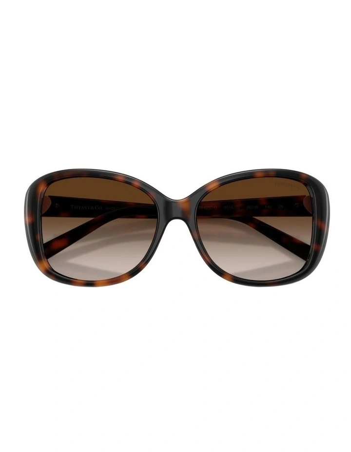 Injected Sunglasses in Tortoise image 4