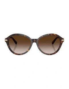 Acetate Sunglasses in Tortoise