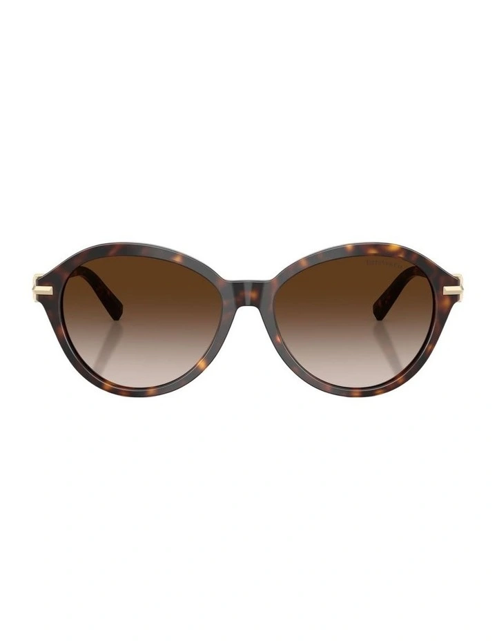 Acetate Sunglasses in Tortoise image 1