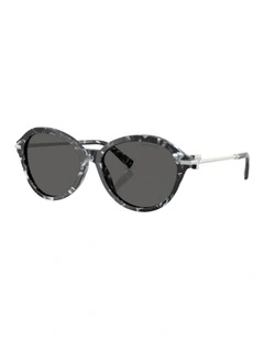 Acetate Sunglasses in Tortoise