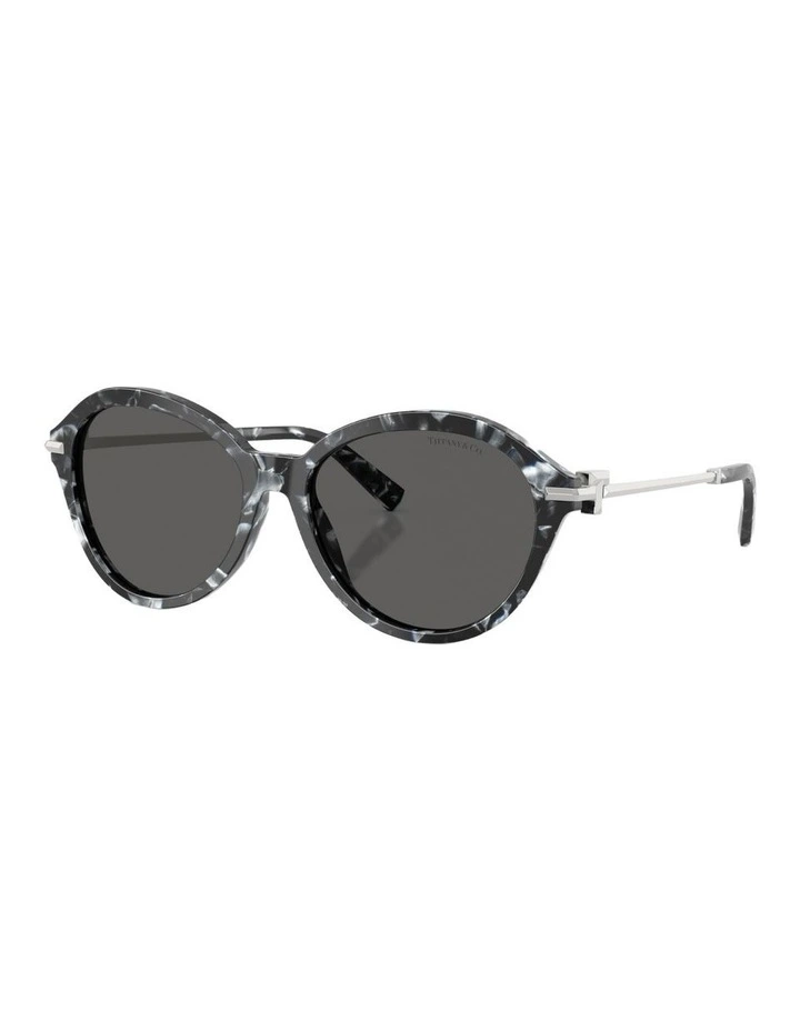 Acetate Sunglasses in Tortoise image 1