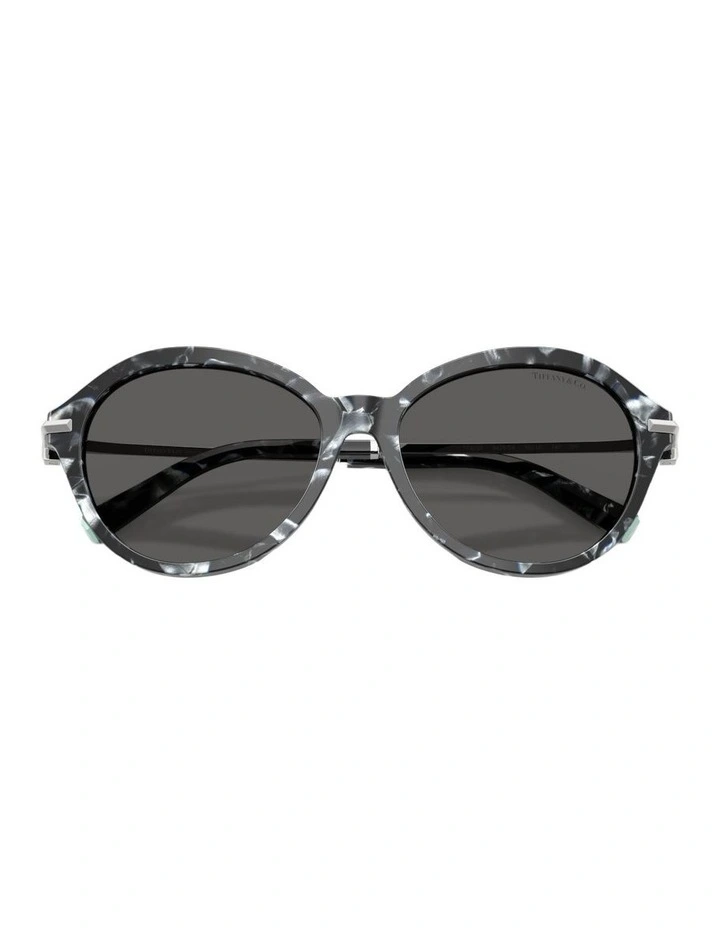 Acetate Sunglasses in Tortoise image 4