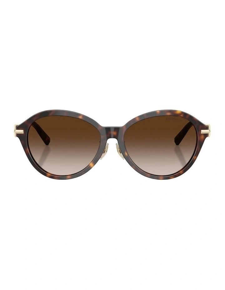 Acetate Sunglasses in Tortoise image 1