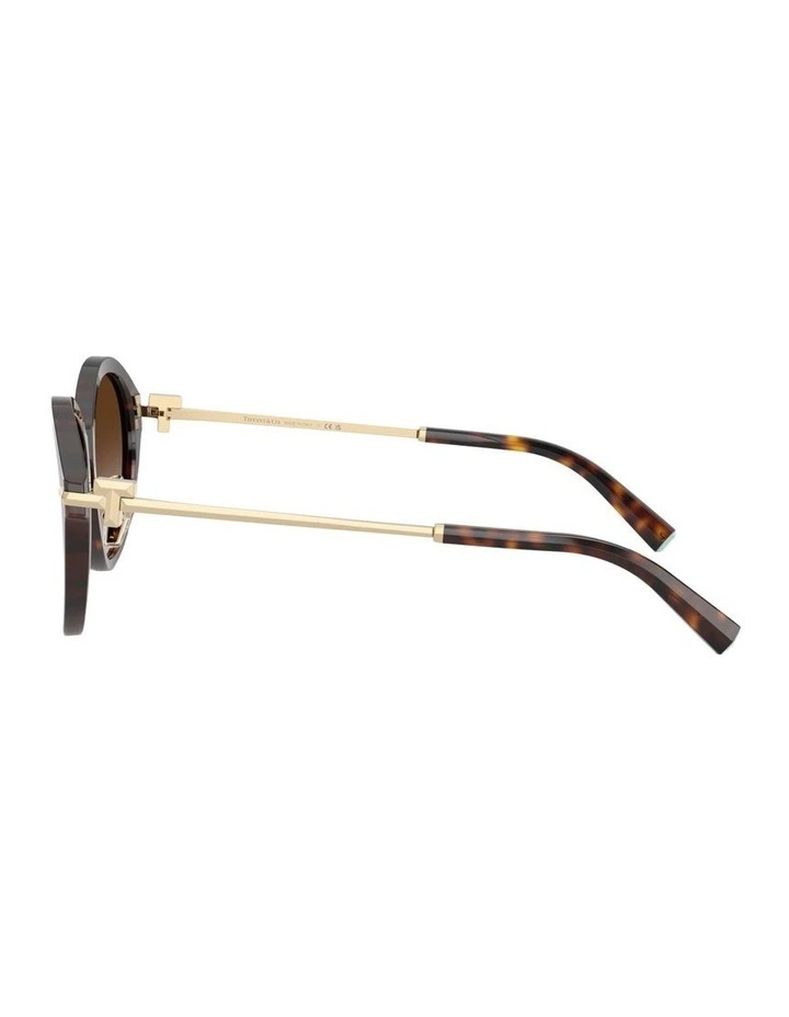 Acetate Sunglasses in Tortoise image 2