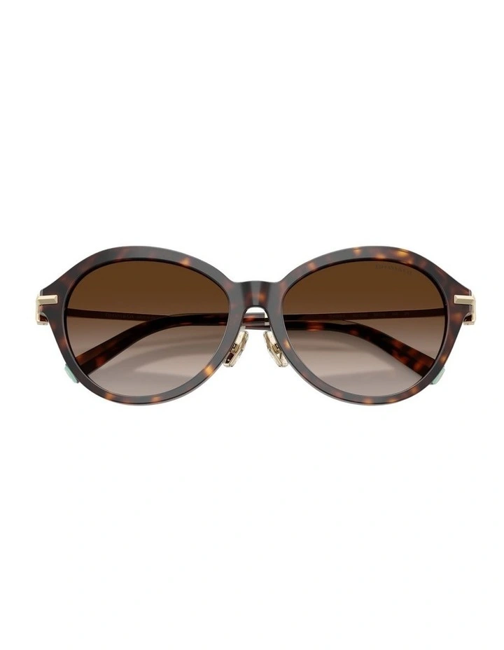 Acetate Sunglasses in Tortoise image 3