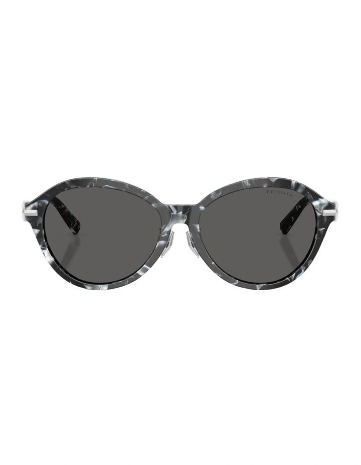 Acetate Sunglasses in Tortoise image 1
