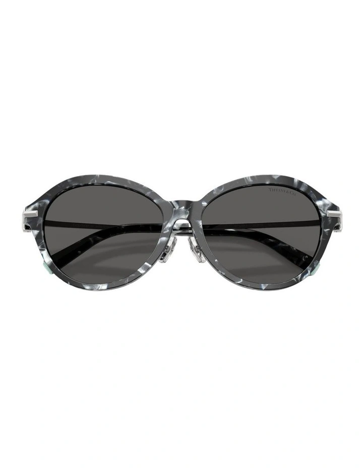 Acetate Sunglasses in Tortoise image 3