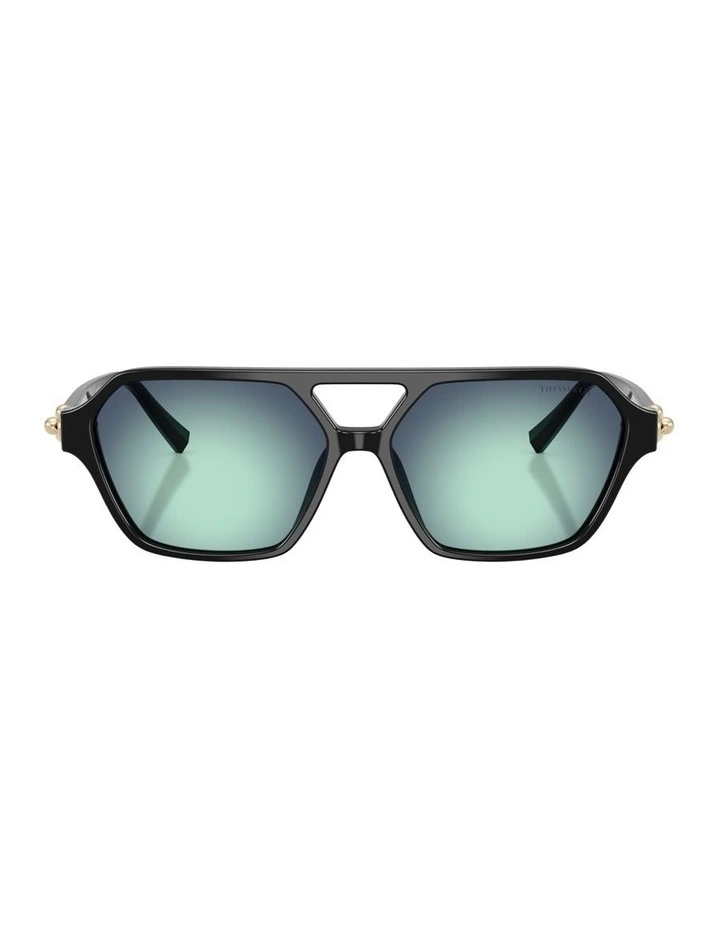 Acetate Sunglasses in Black image 2