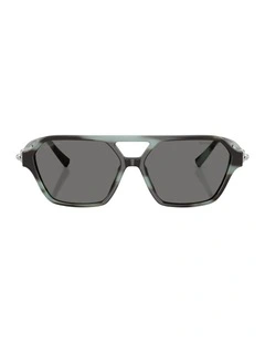 Acetate Polarised Sunglasses in Tortoise
