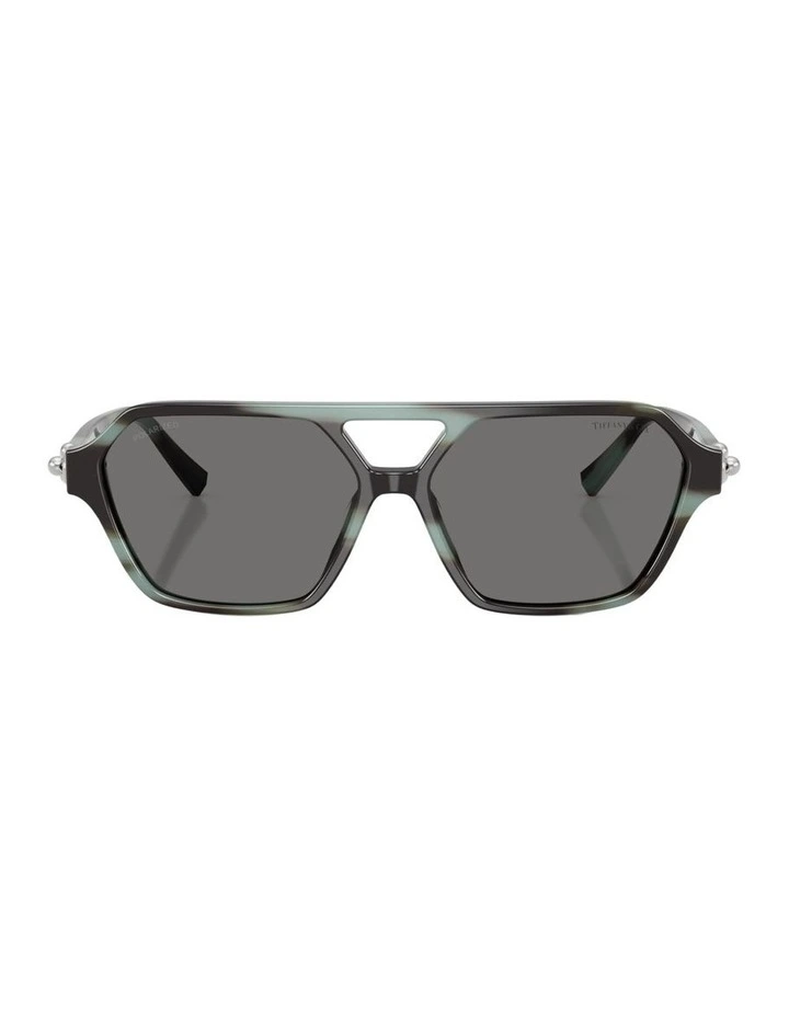 Acetate Polarised Sunglasses in Tortoise image 1
