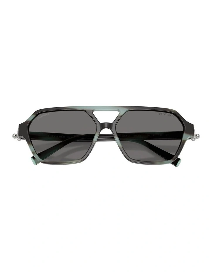 Acetate Polarised Sunglasses in Tortoise image 4