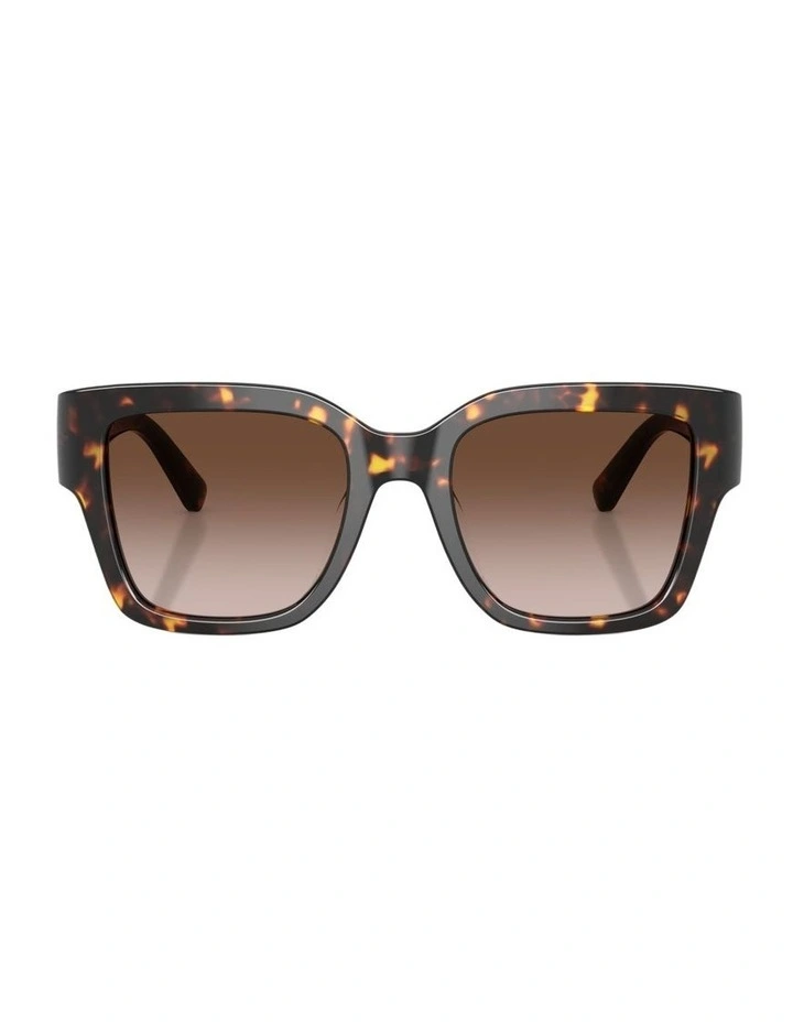 Acetate Sunglasses in Tortoise image 1