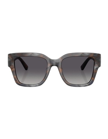 Blue Smoke Tortoise colour