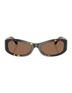 Acetate Sunglasses in Tortoise