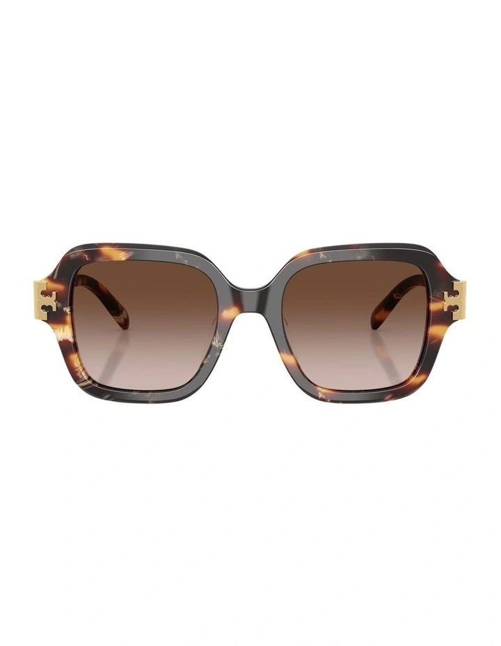 Acetate Sunglasses in Tortoise image 1