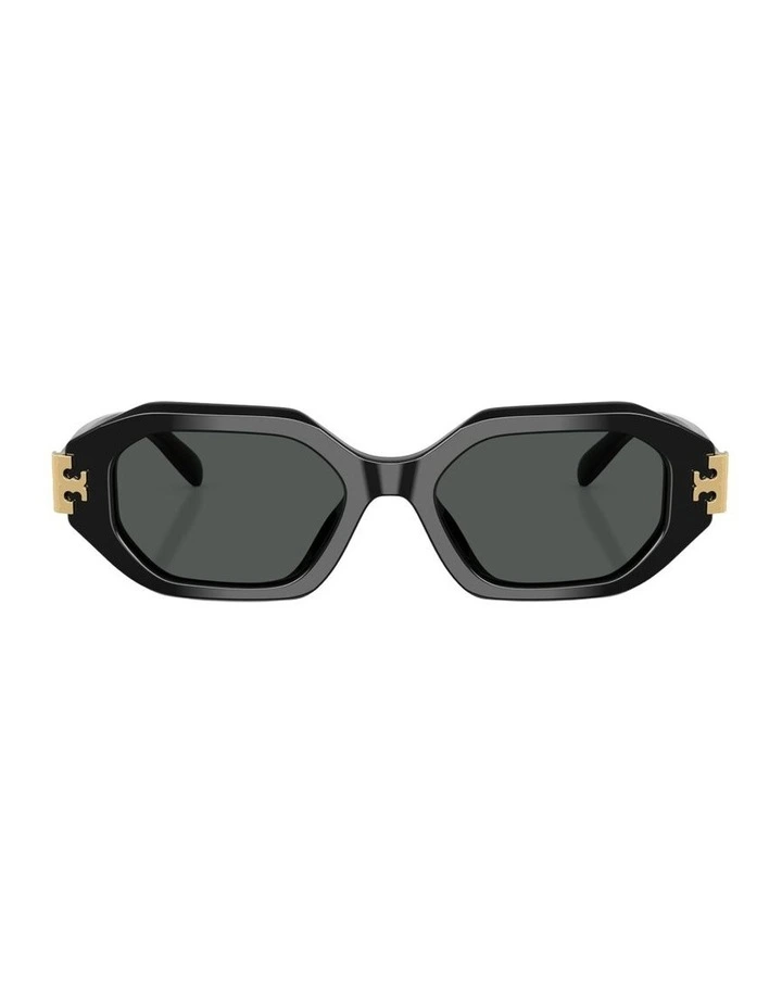 Acetate Sunglasses in Black image 1