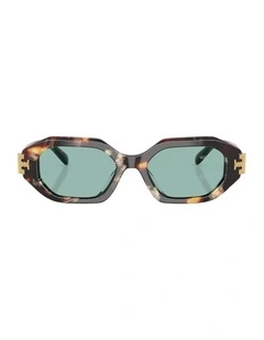 Acetate Sunglasses in Tortoise