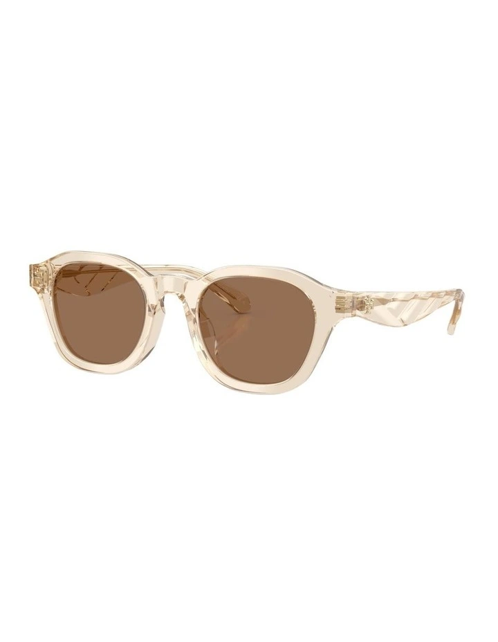 Acetate Sunglasses in Beige image 1