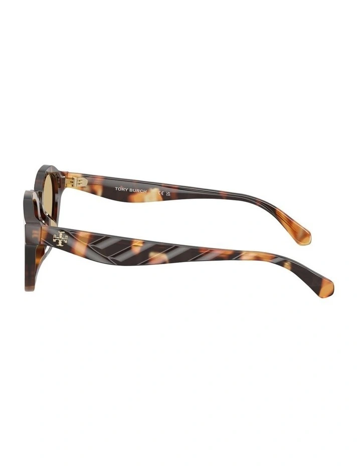 Acetate Sunglasses in Multicolor image 2