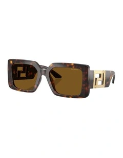 Injected Polarised Sunglasses in Tortoise
