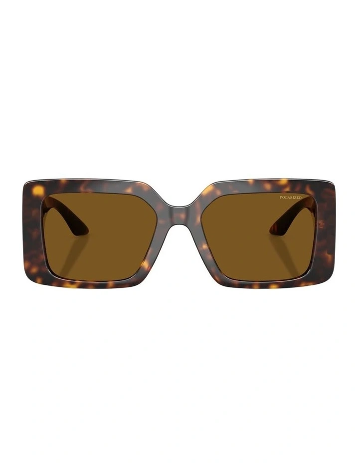 Injected Polarised Sunglasses in Tortoise image 2
