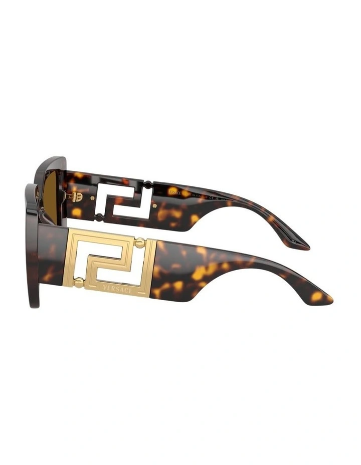 Injected Polarised Sunglasses in Tortoise image 3