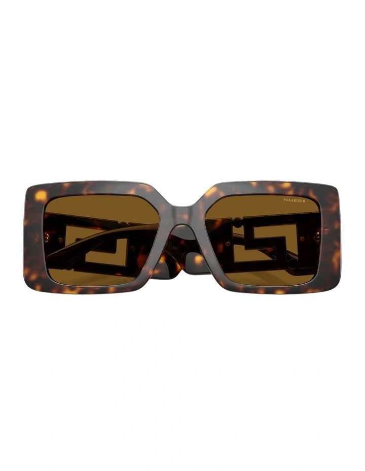 Injected Polarised Sunglasses in Tortoise image 4