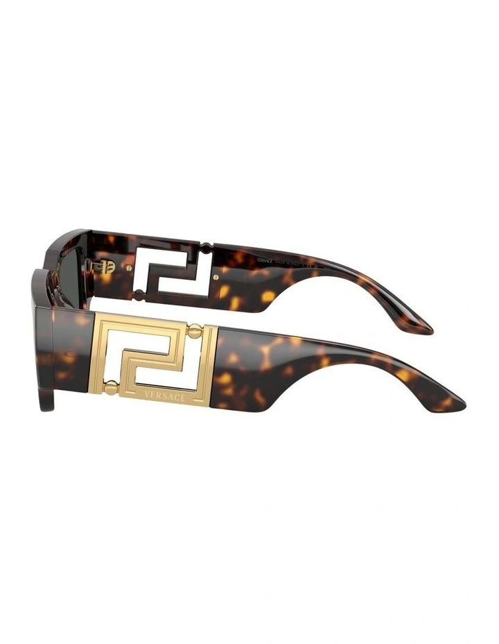 Injected Sunglasses in Tortoise image 2