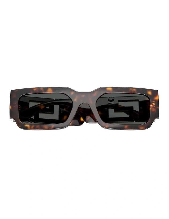Injected Sunglasses in Tortoise image 3