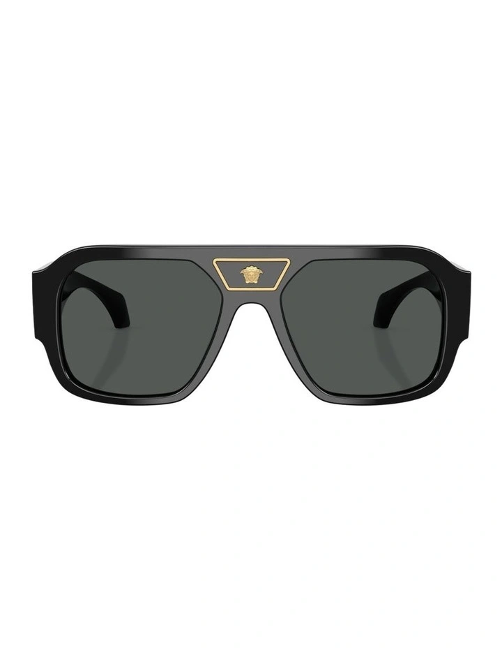 Acetate Sunglasses in Black image 1
