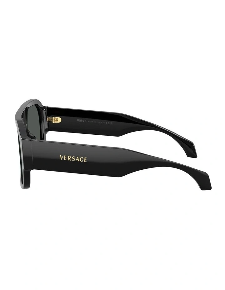 Acetate Sunglasses in Black image 3