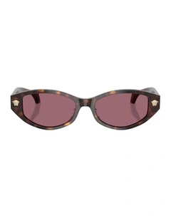 Acetate Sunglasses in Tortoise