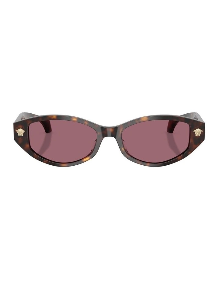 Acetate Sunglasses in Tortoise image 1