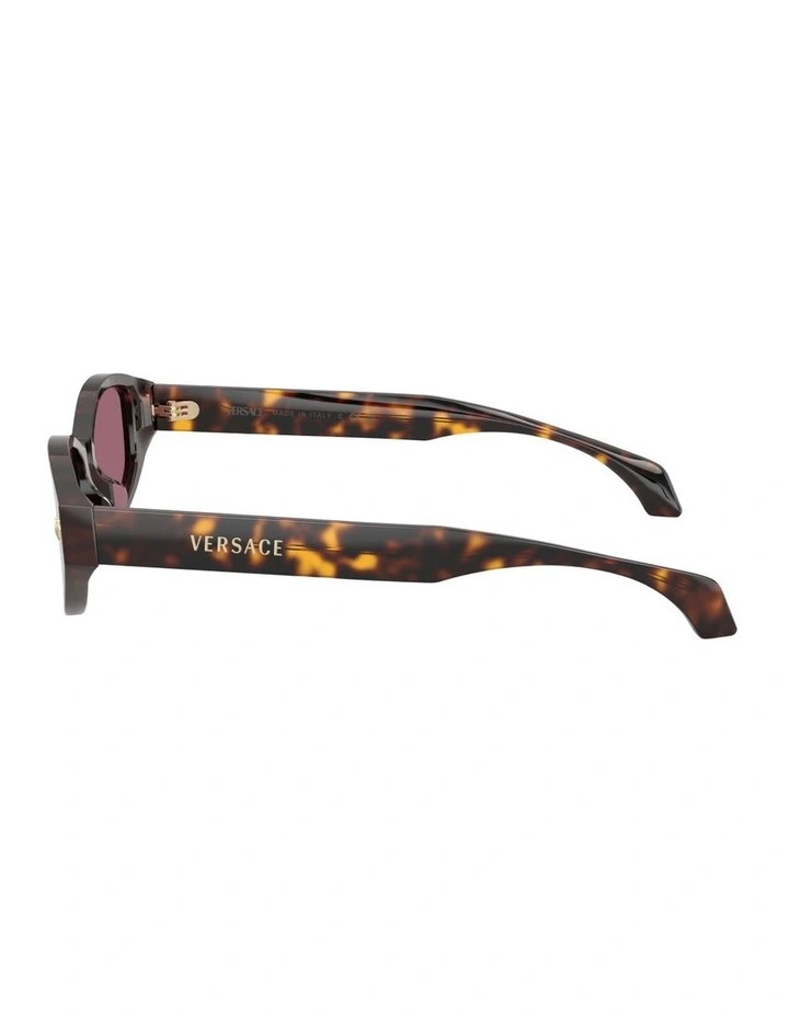 Acetate Sunglasses in Tortoise image 2